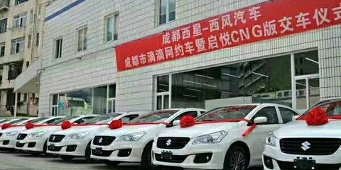 西風汽車租賃公司 專業(yè)汽車租賃服務，滿足您的出行需求